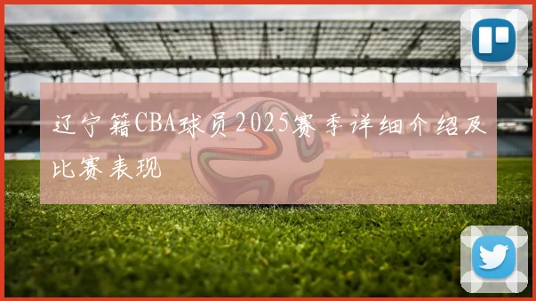 辽宁籍CBA球员2025赛季详细介绍及比赛表现
