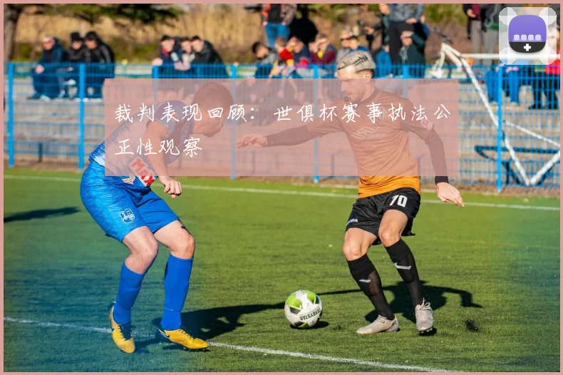 裁判表现回顾：世俱杯赛事执法公正性观察