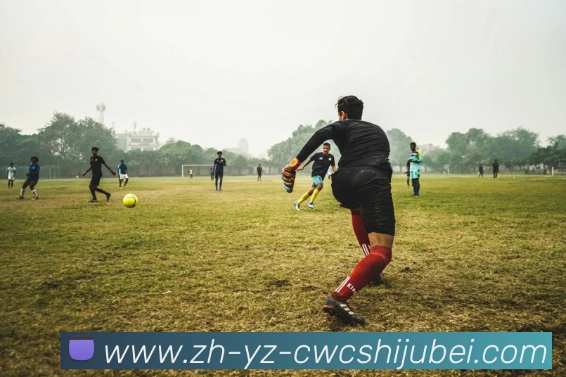 多媒体互动体验